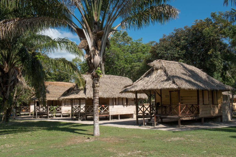 Rewa Lodge: Simply beautiful/Most pristine eco-system on earth – Things