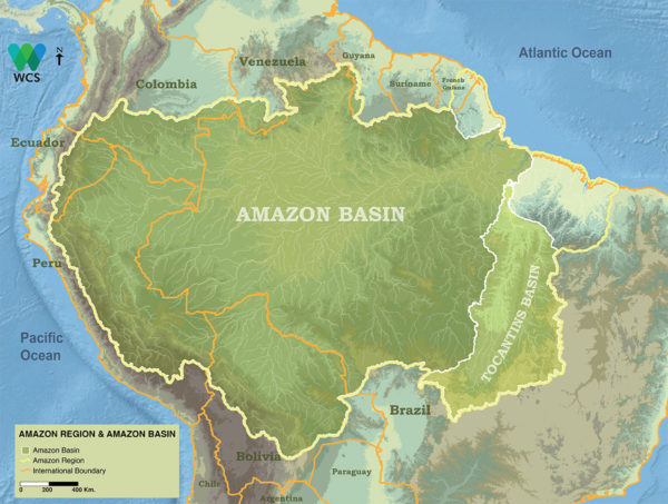 Amazon Basin- World’s largest rainforest in all of history - Things Guyana