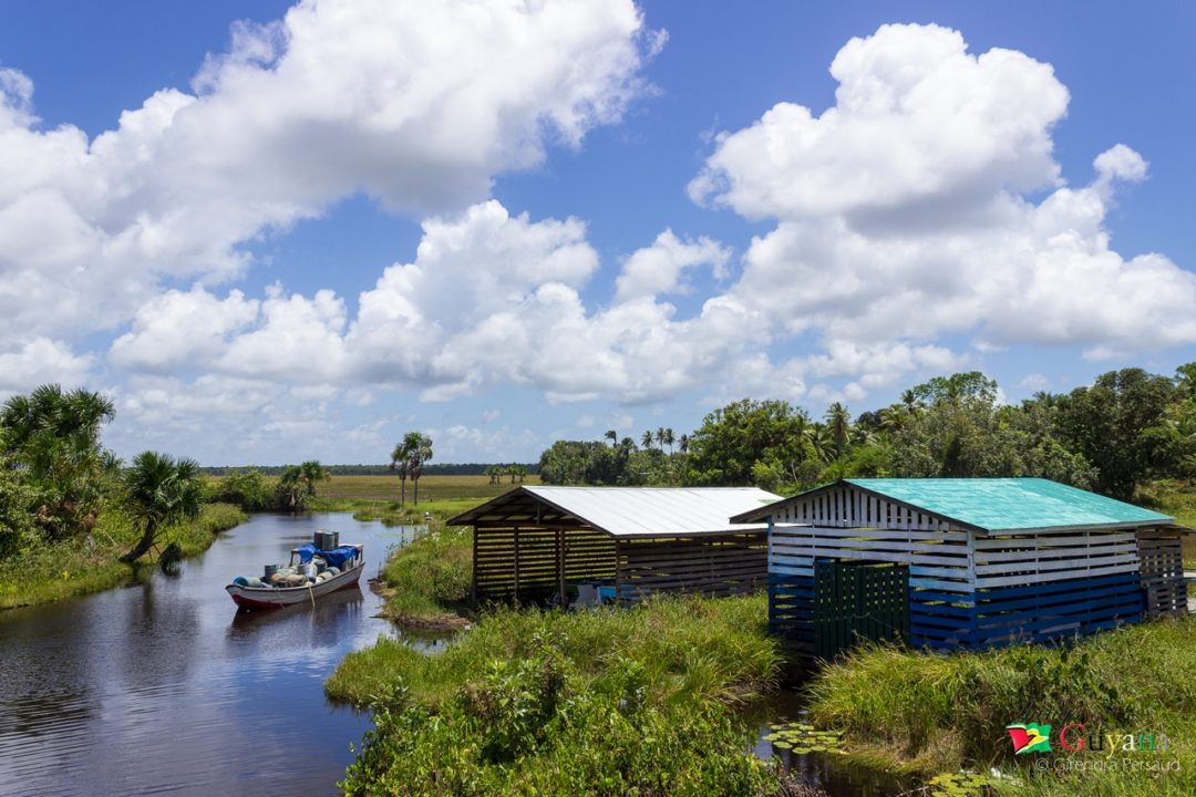 What Do You Know About Region One (1) Barima-Waini? - Things Guyana