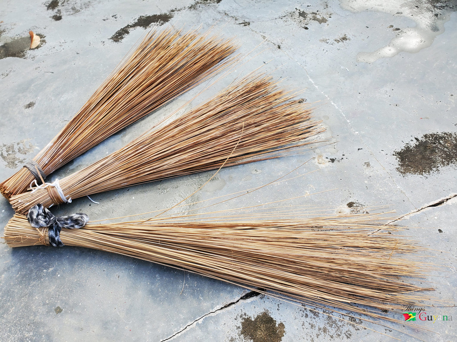 The Pointer Broom ‘New brooms sweep clean but an old broom knows the