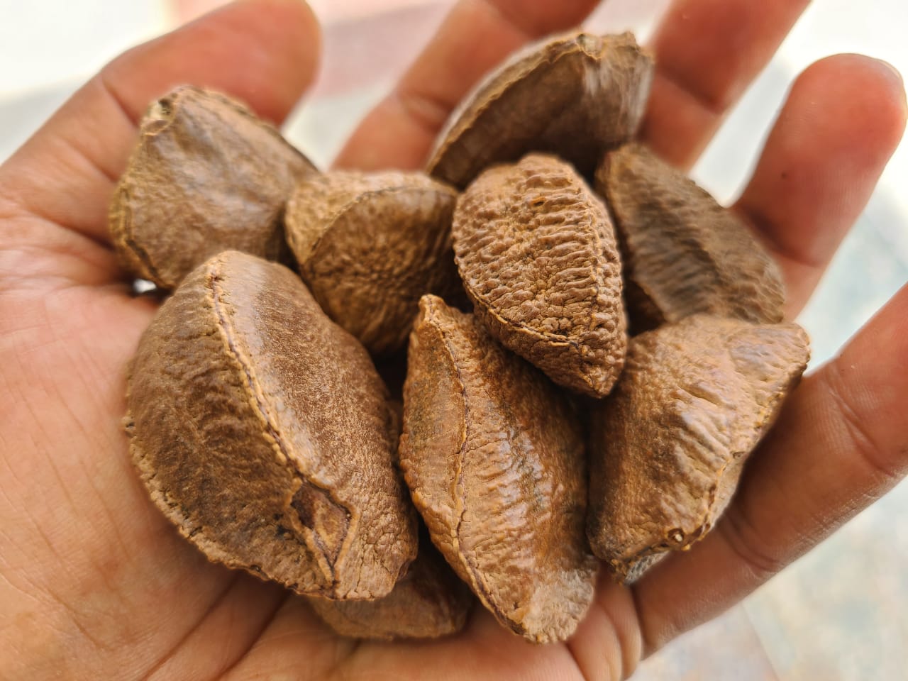 6 Amazing Health Benefits Of The Brazil Nut - Things Guyana