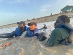 L-R: Elford Liverpool, Mark Ram, and Mr Eric Stoll from the University of Guyana at the Buxton Foreshore assisting in the rescue of a stranded whale